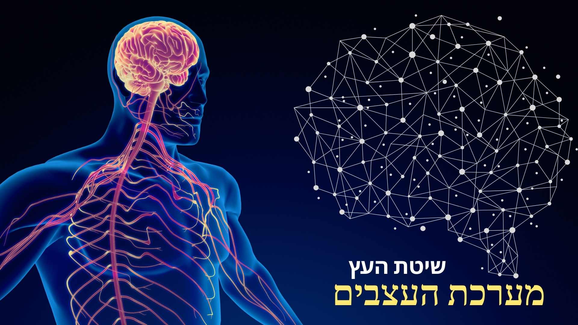 לא צריך לסבול מכאבי מחזור